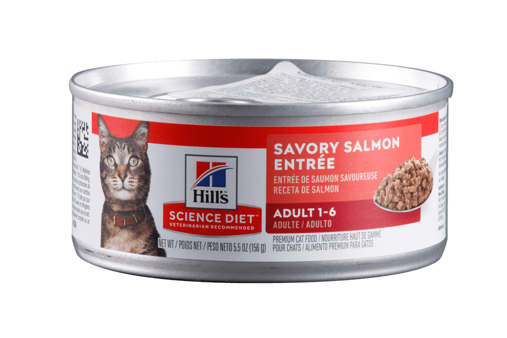 Hills Science Diet Adulto Salmón Húmedo para Gatos