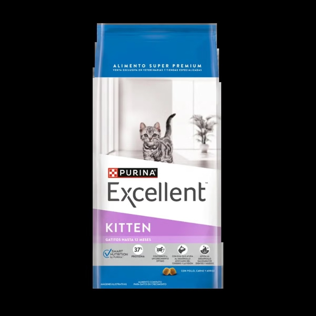 Excellent Gatitos