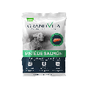 Grand Vita Paté D/E Salmón Perro