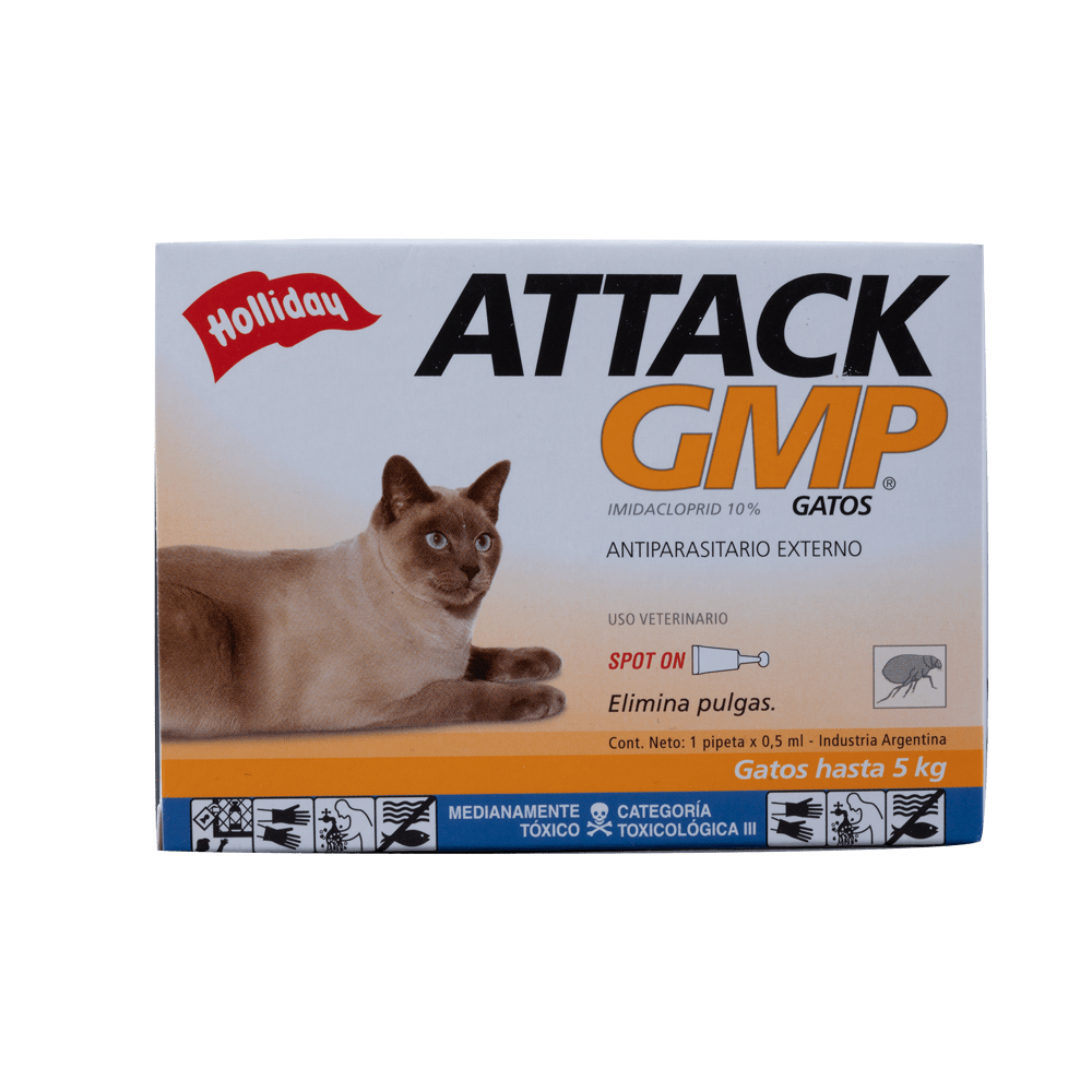 Holliday Attack Gatos Gmp
