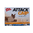 Holliday Attack Gatos Gmp